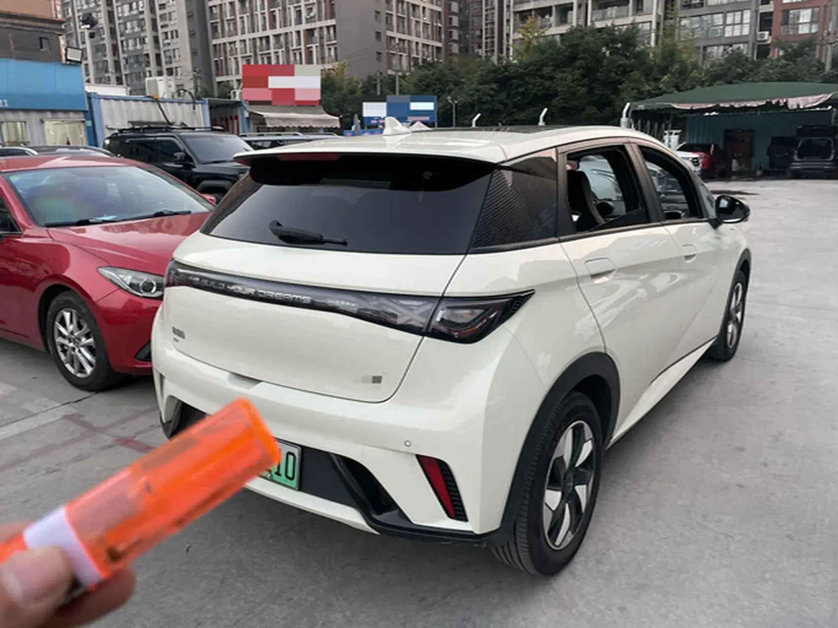 2024 BYD DOLPHIN thumbnail 2