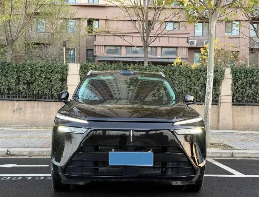 2025 WEY BLUEMOUNTAIN thumbnail 2