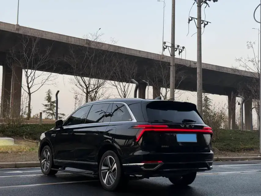 2025 WEY BLUEMOUNTAIN thumbnail 4