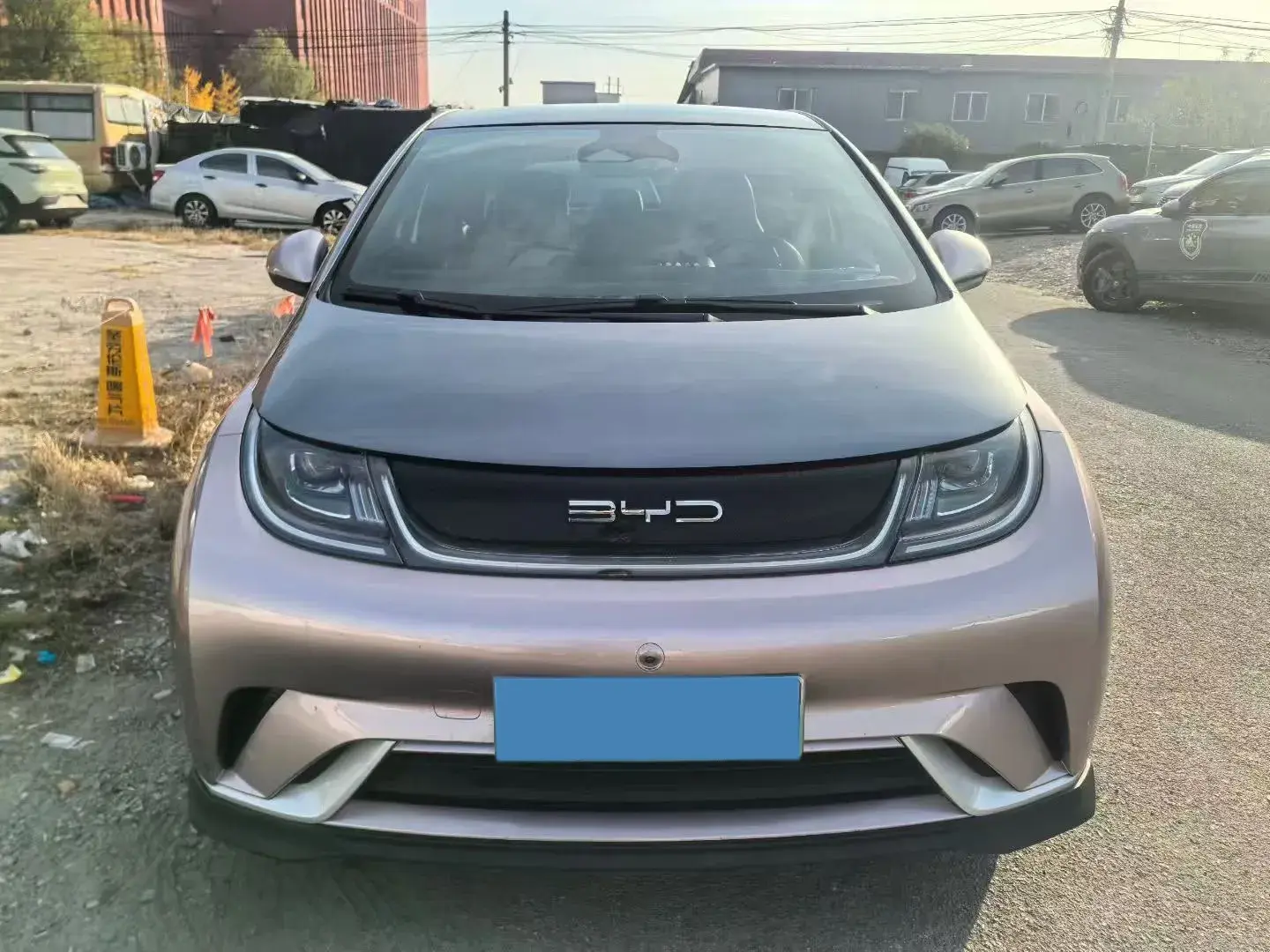 2021 BYD DOLPHIN thumbnail 2