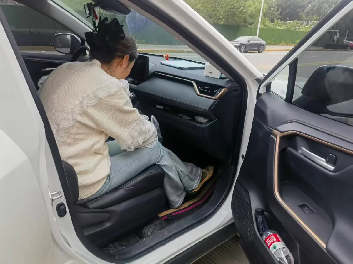 2024 Toyota Wildlander 2.0L 171HP L4 CVT,autocango,china used car exporter,china ev exporter,chinese used car exporter,chinese used ev exporter