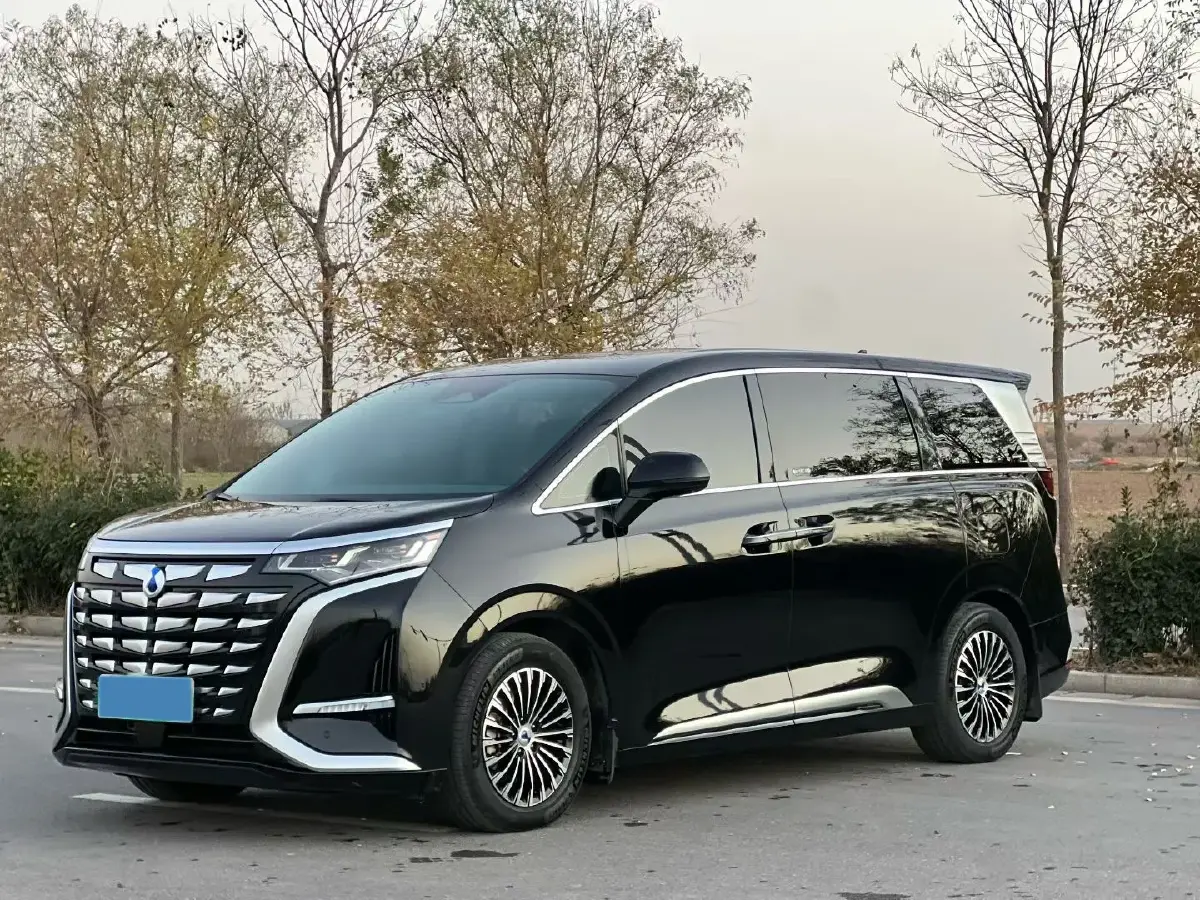 2022 Denza D9 1.5T 139HP L4 E-CVT PHEV 40.06KWH