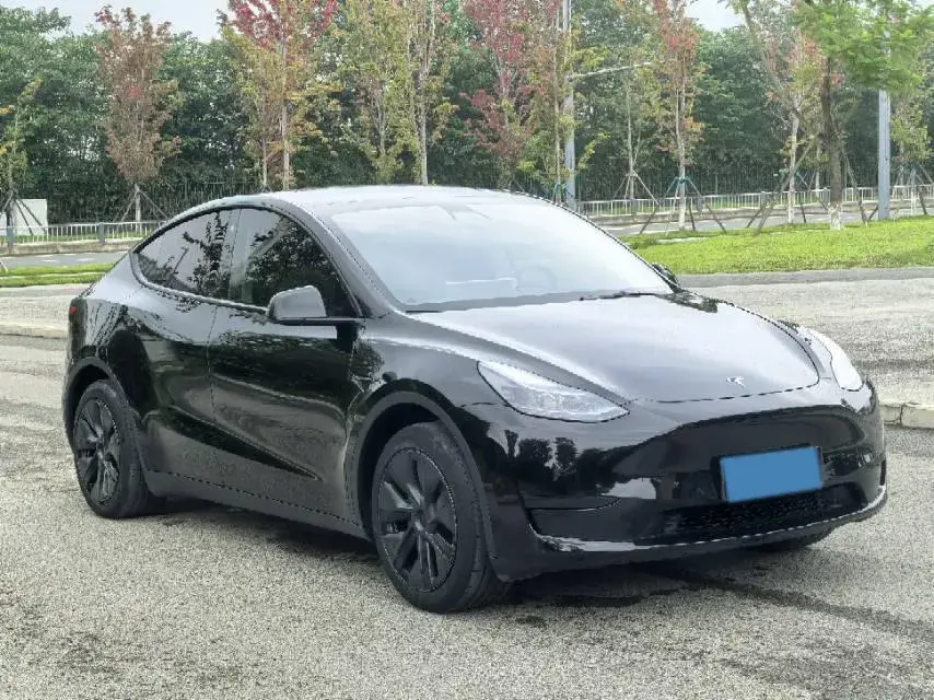 2021 TESLA MODEL thumbnail 3