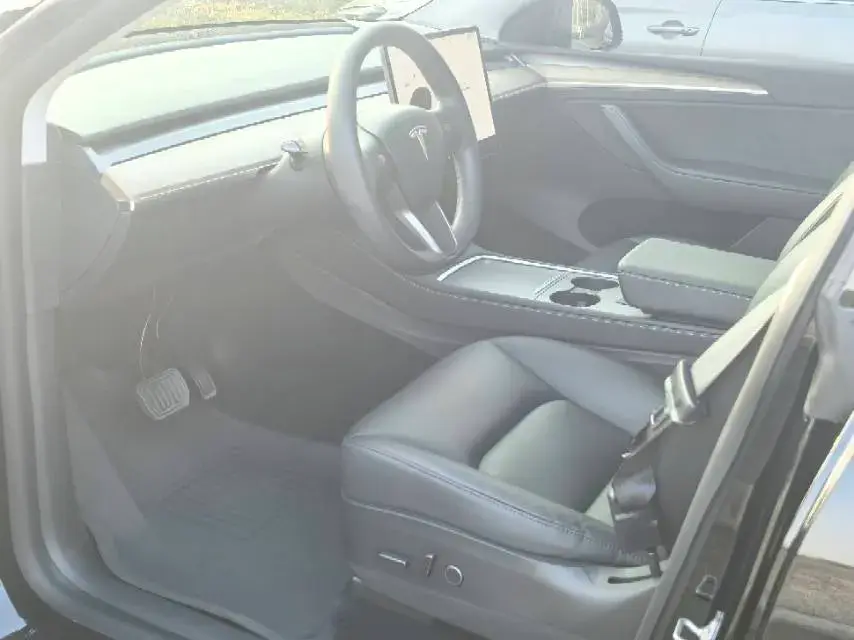 2021 TESLA MODEL thumbnail 4