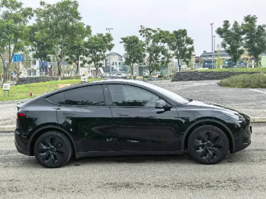 2021 TESLA MODEL thumbnail 2