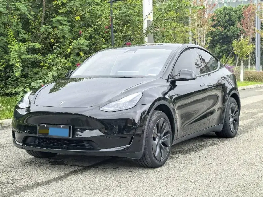 2021 TESLA MODEL view 1