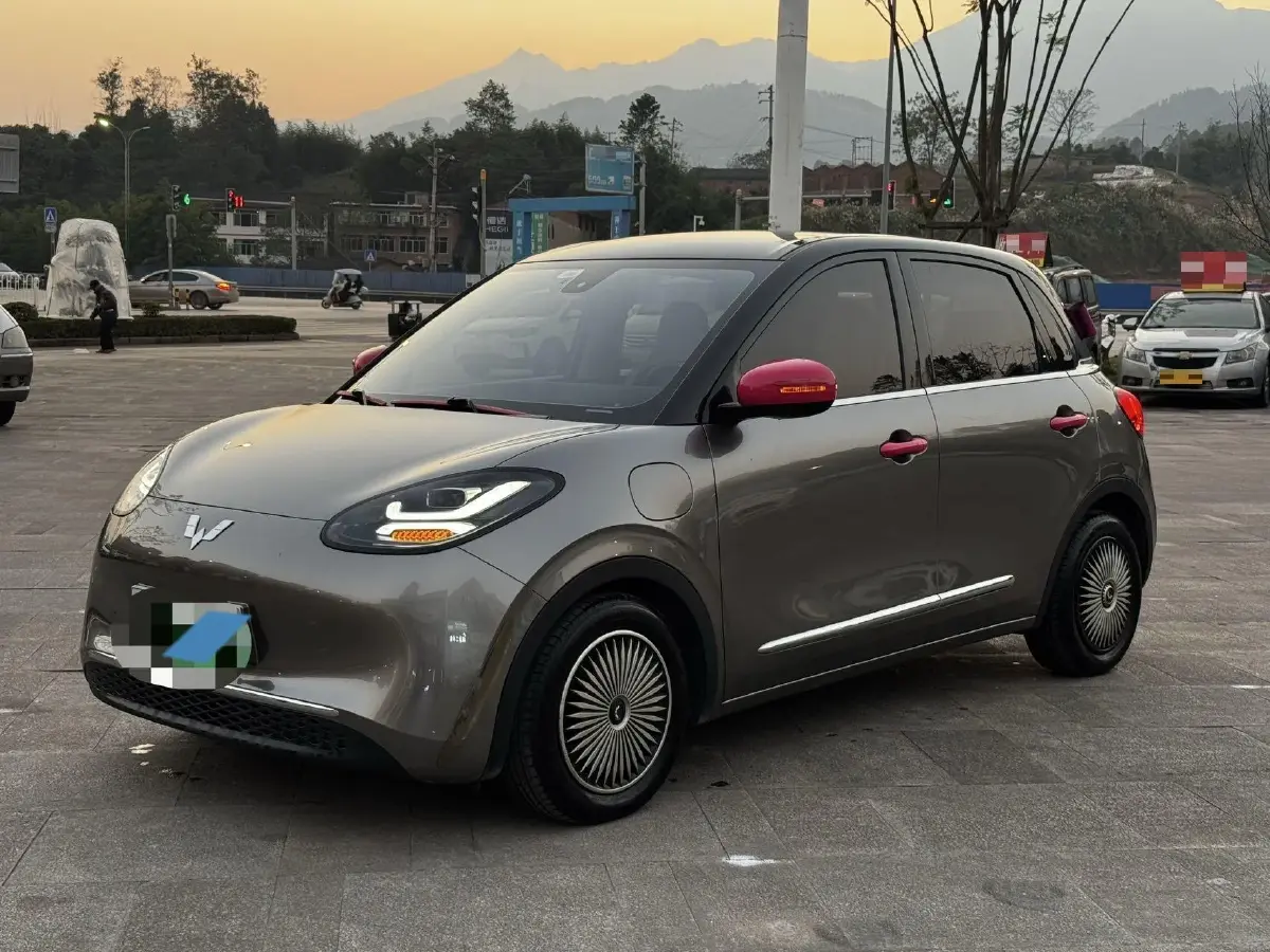 2023 WuLing BinGuo BEV 31.9KWH