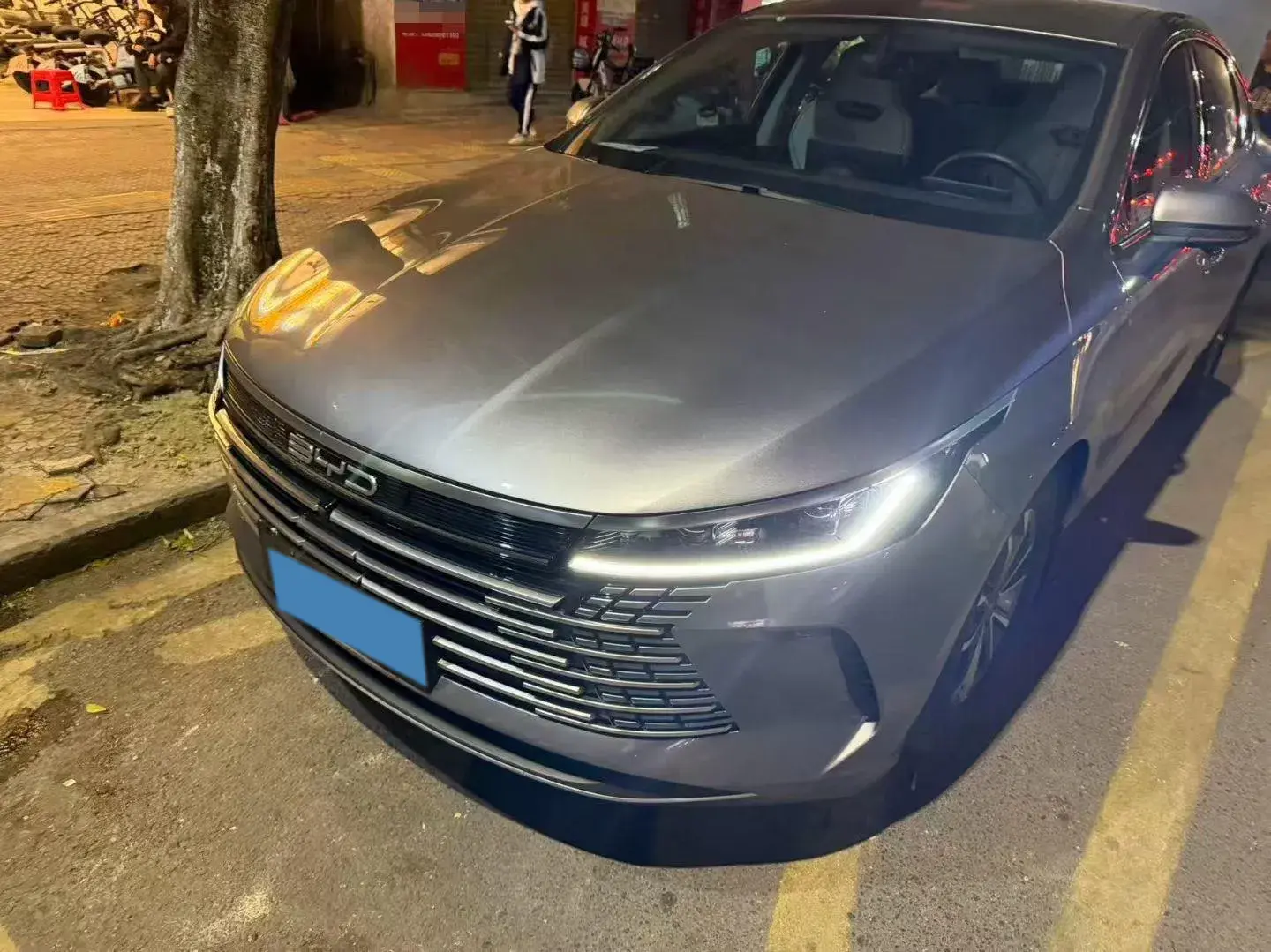 2024 BYD DESTROYER view 1