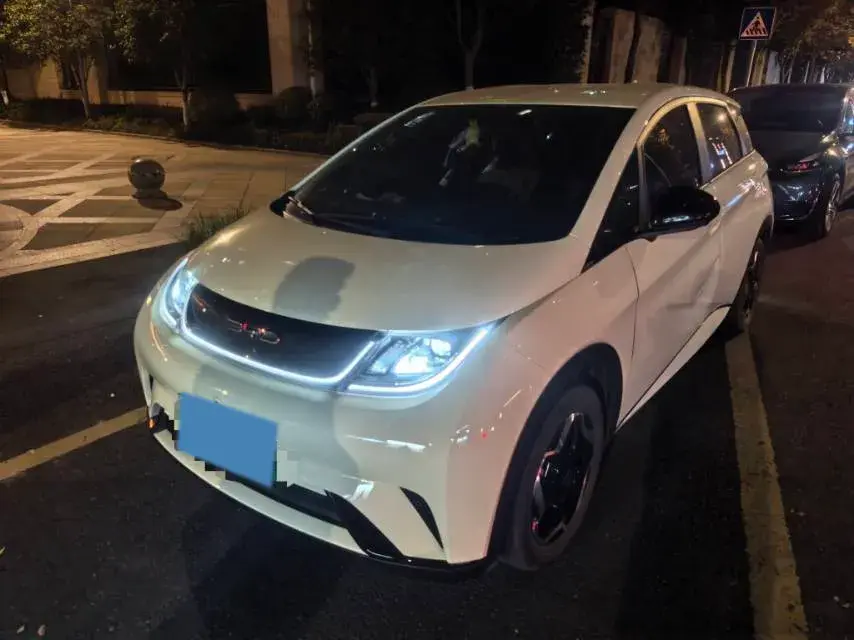2021 BYD Dolphin BEV 44.9KWH