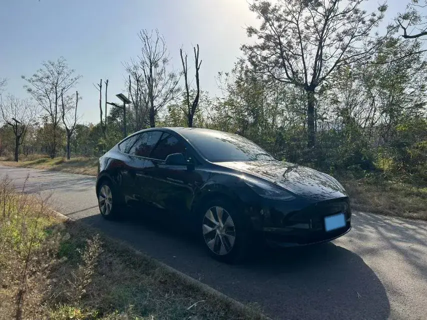 2021 TESLA MODEL thumbnail 3