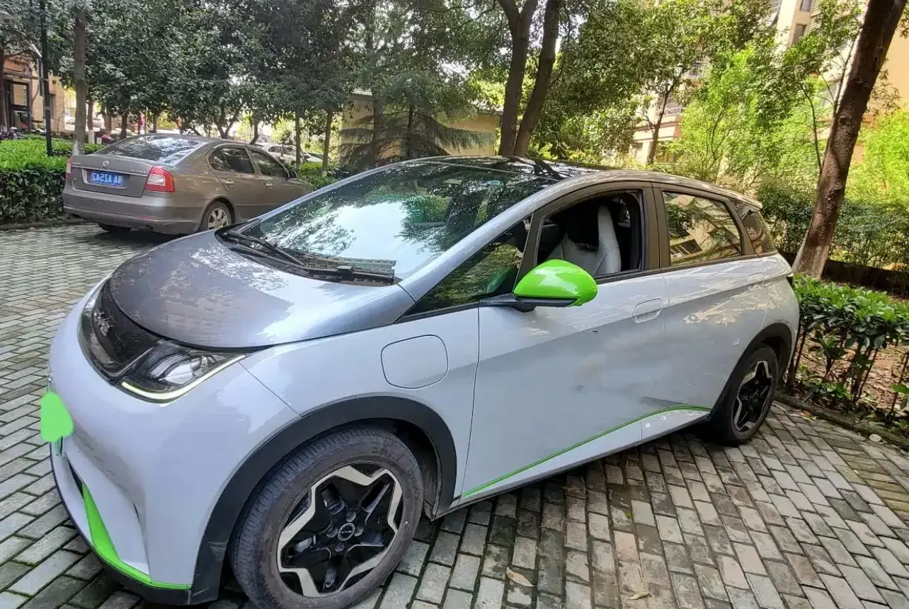 2021 BYD DOLPHIN view 1