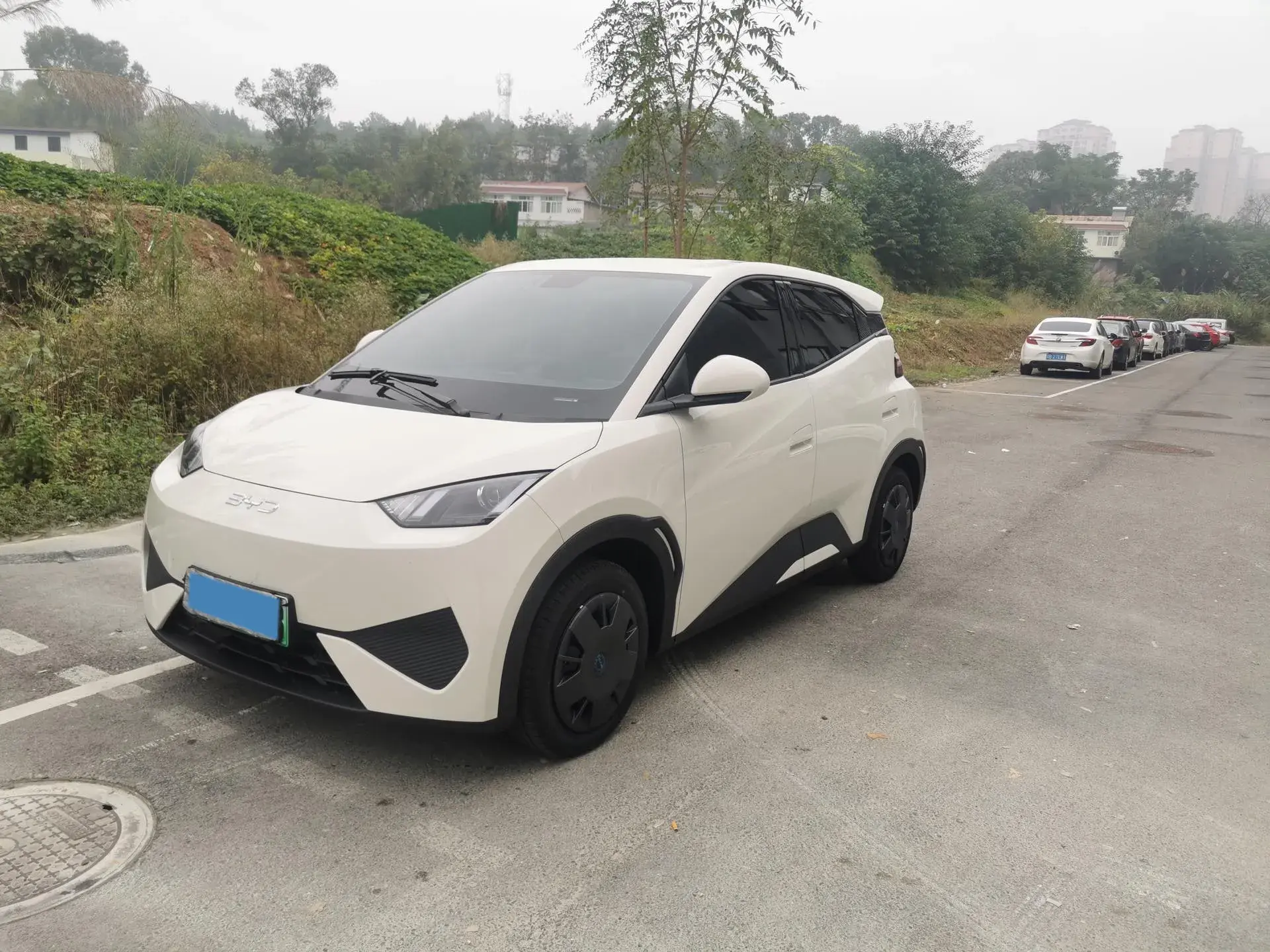 2025 BYD SEAGULL view 1