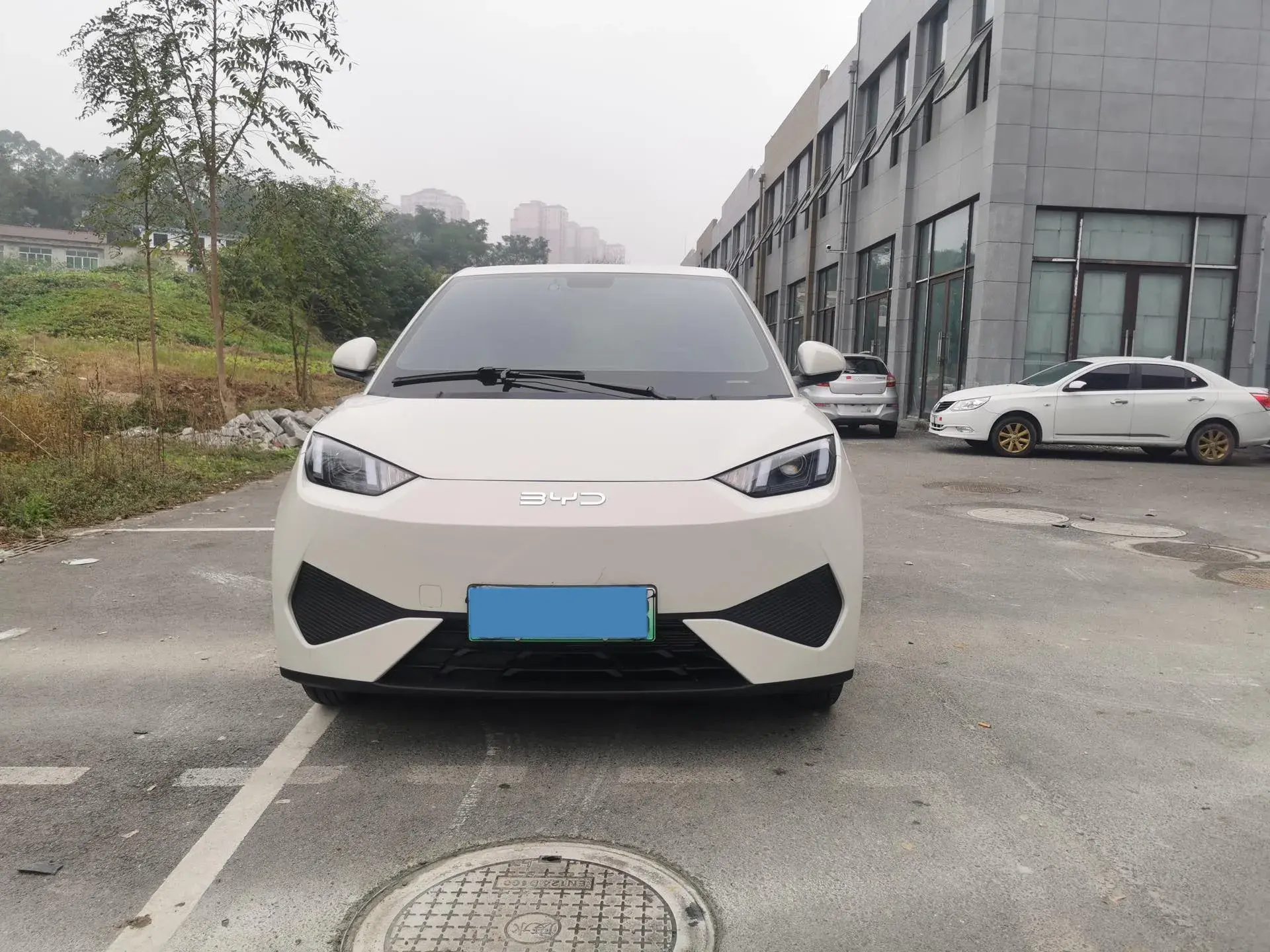 2025 BYD SEAGULL thumbnail 2