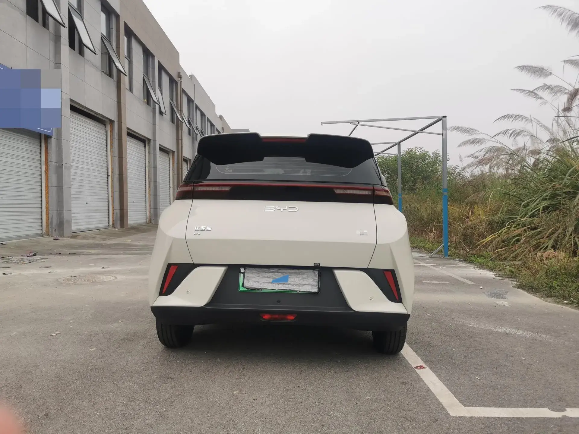 2025 BYD SEAGULL thumbnail 4