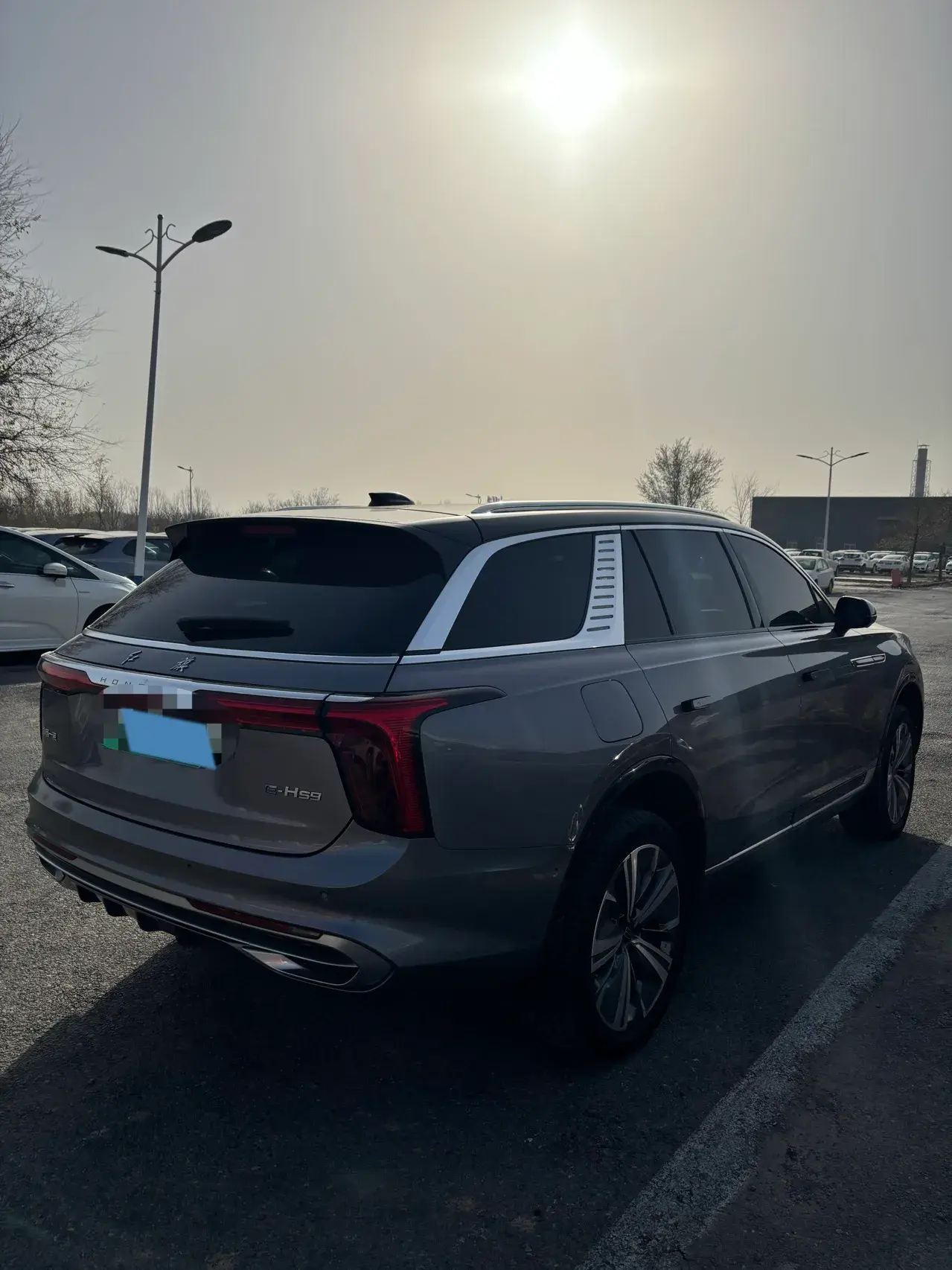 2021 HONGQI E-HS9 thumbnail 2