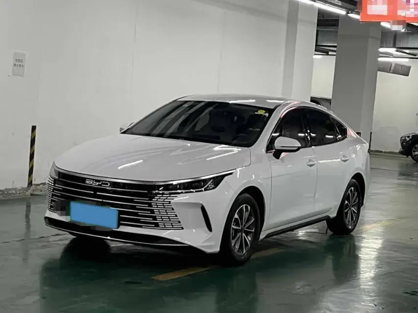 2024 BYD DESTROYER view 1
