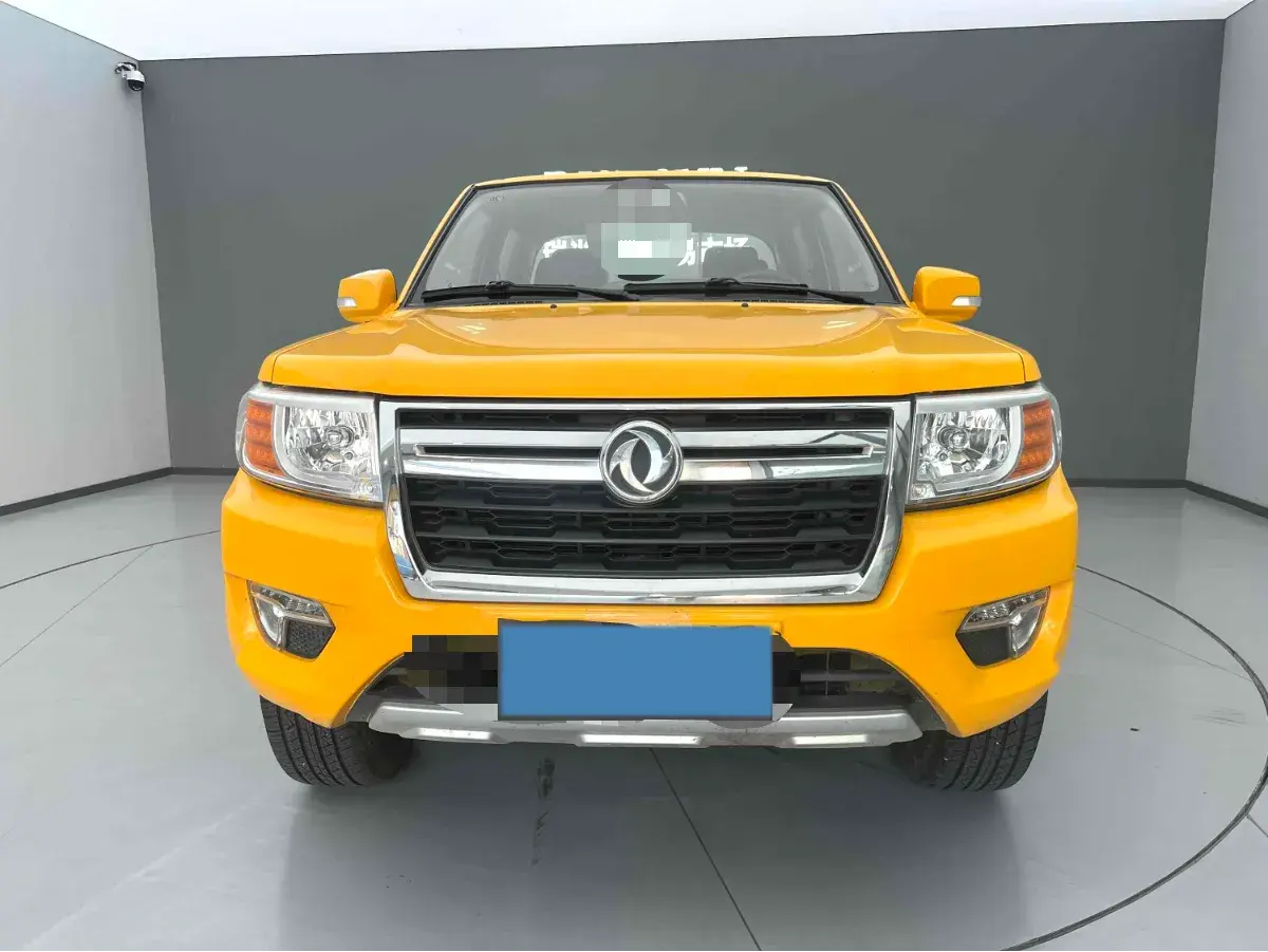 2019 DONGFENG RUIQI thumbnail 2