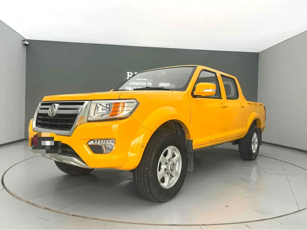 2019 DONGFENG RUIQI view 1