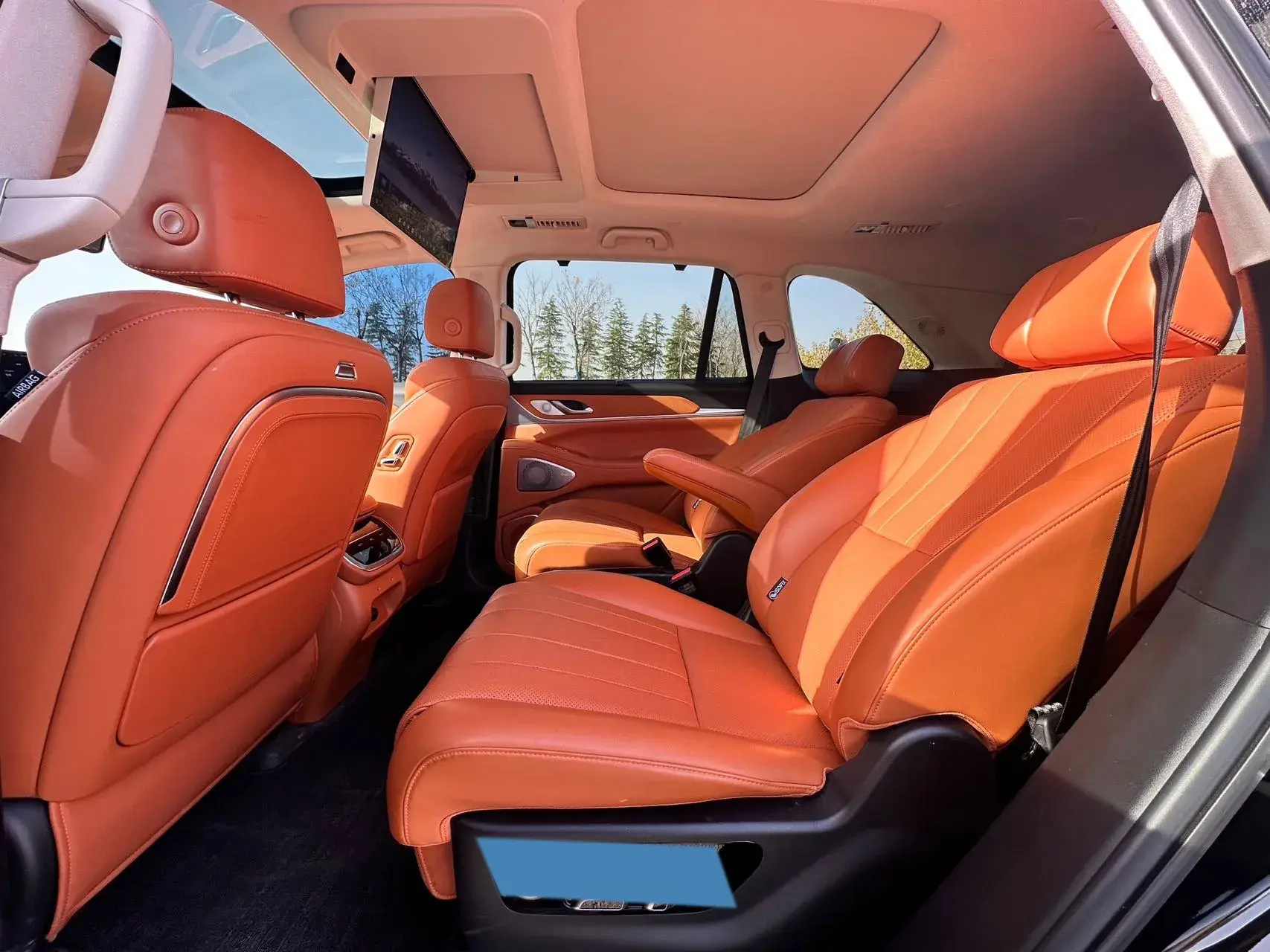 2025 WEY BLUEMOUNTAIN thumbnail 4