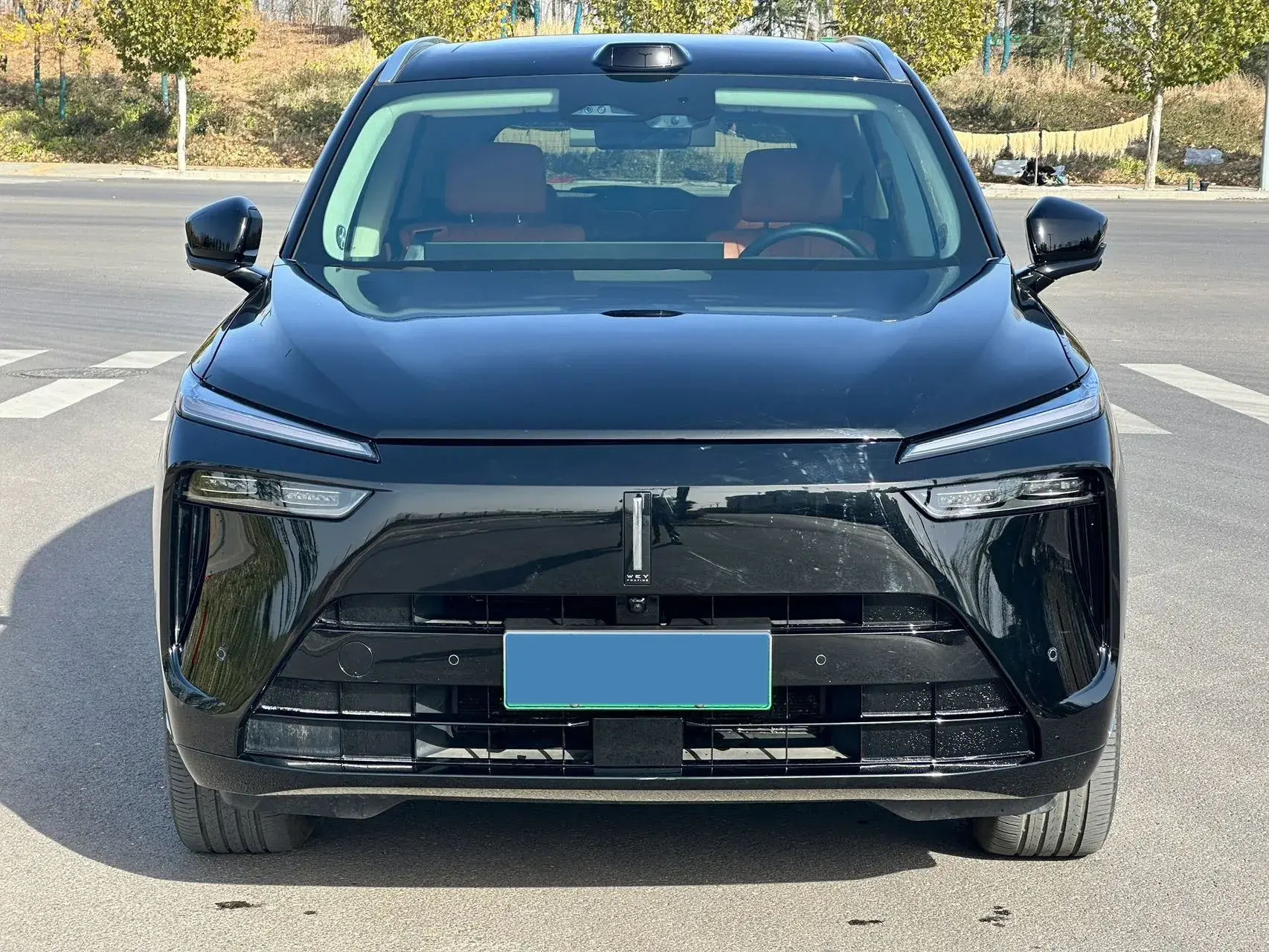 2025 WEY BLUEMOUNTAIN thumbnail 2