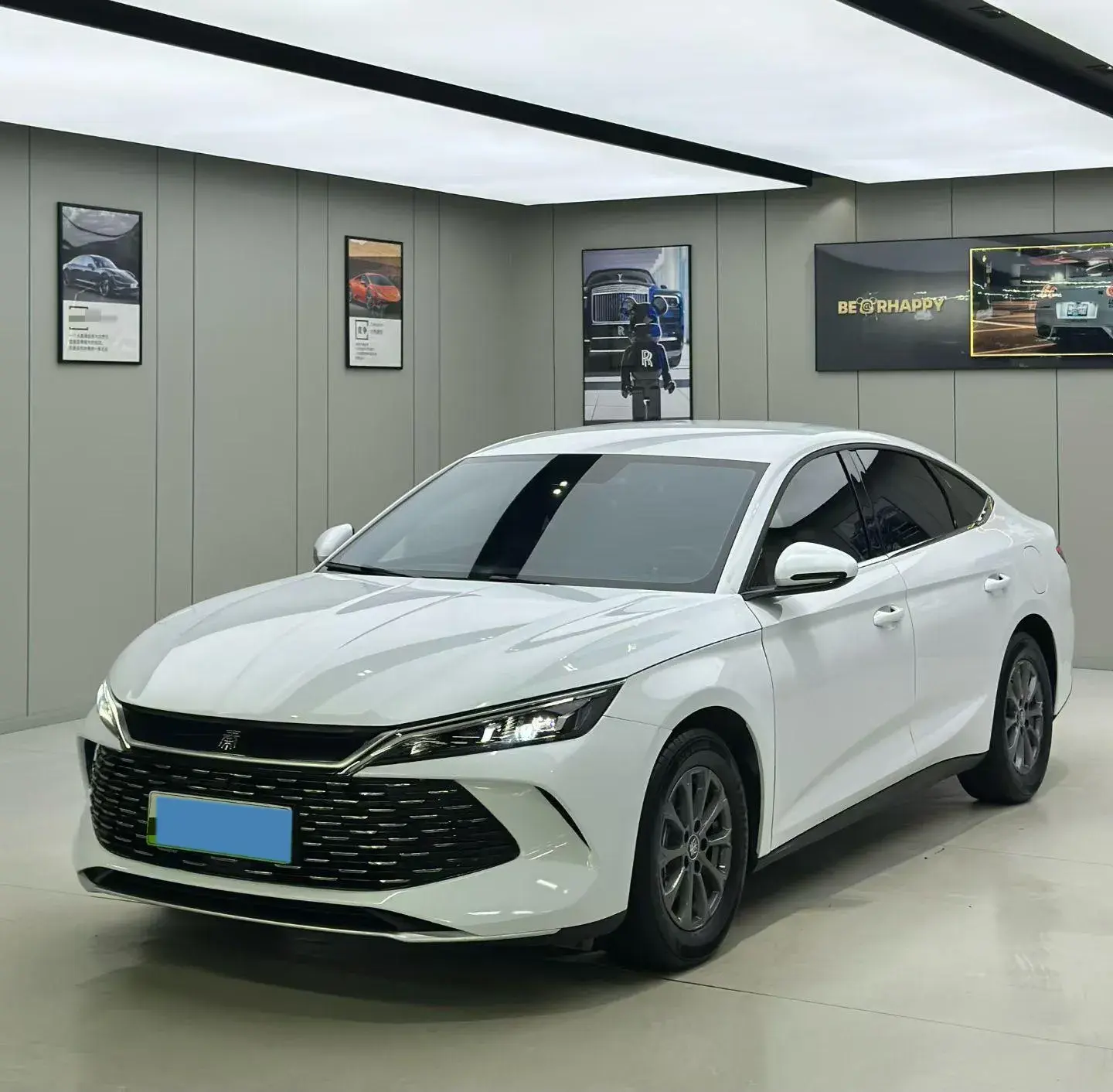 2024 BYD QINL view 1