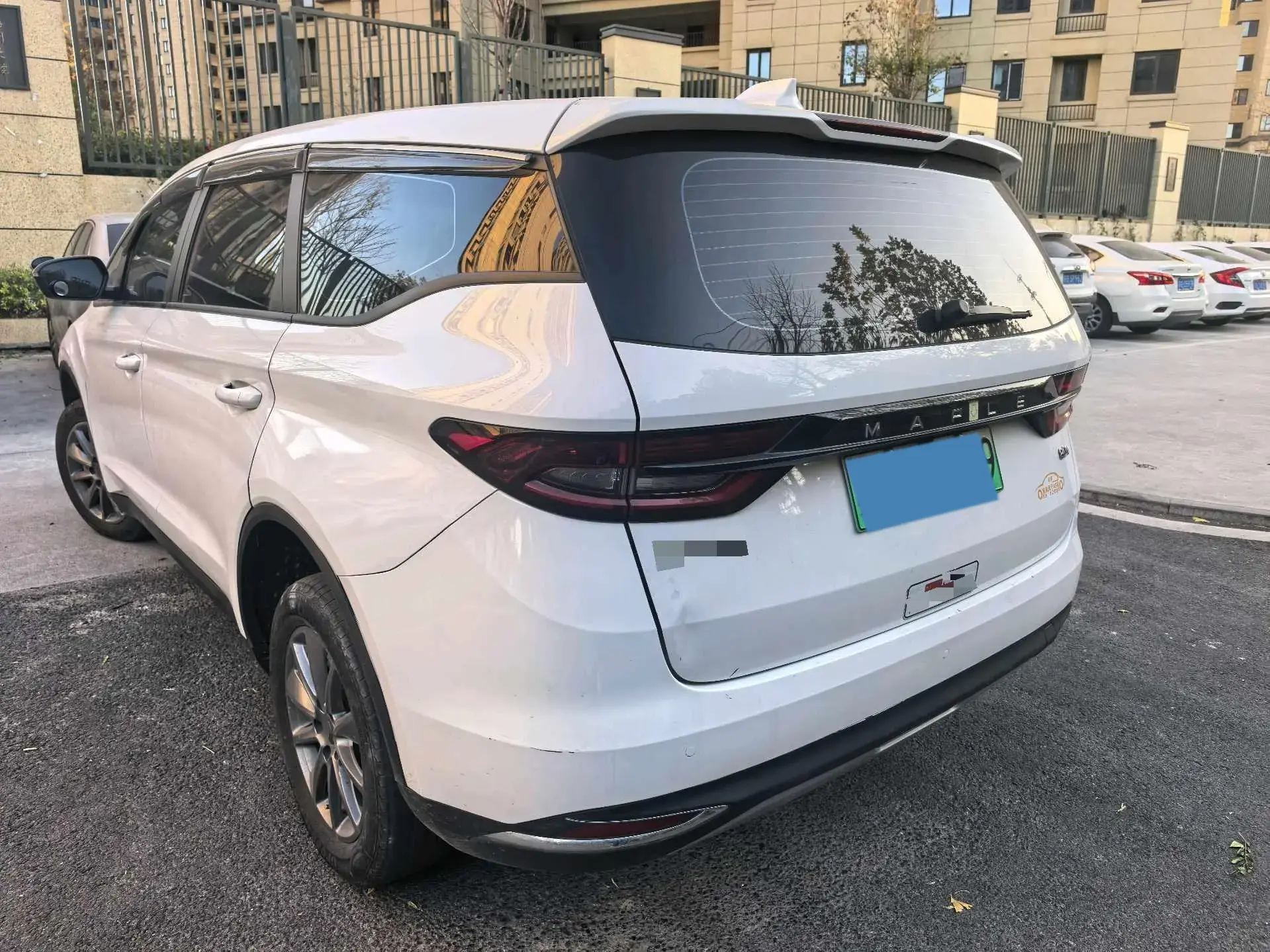 2021 LIVAN MAPLE thumbnail 3