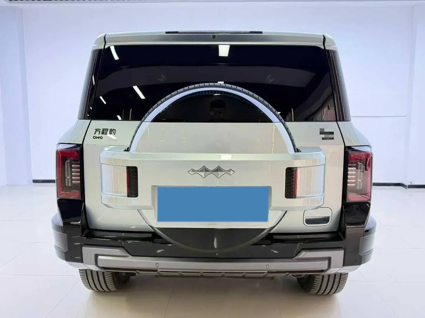 2025 FANGCHENGBAO BAO thumbnail 3