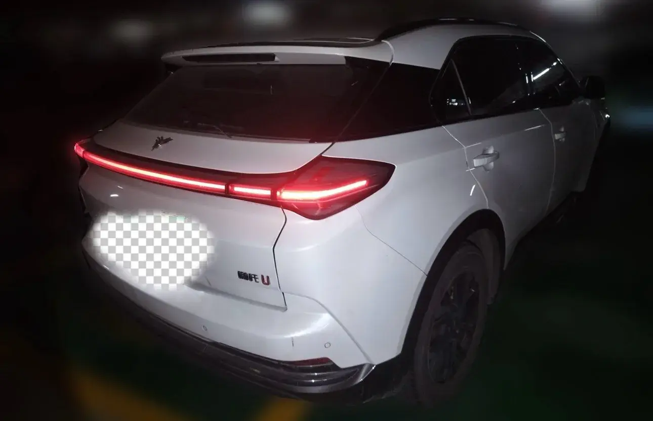 2022 NETA U thumbnail 3