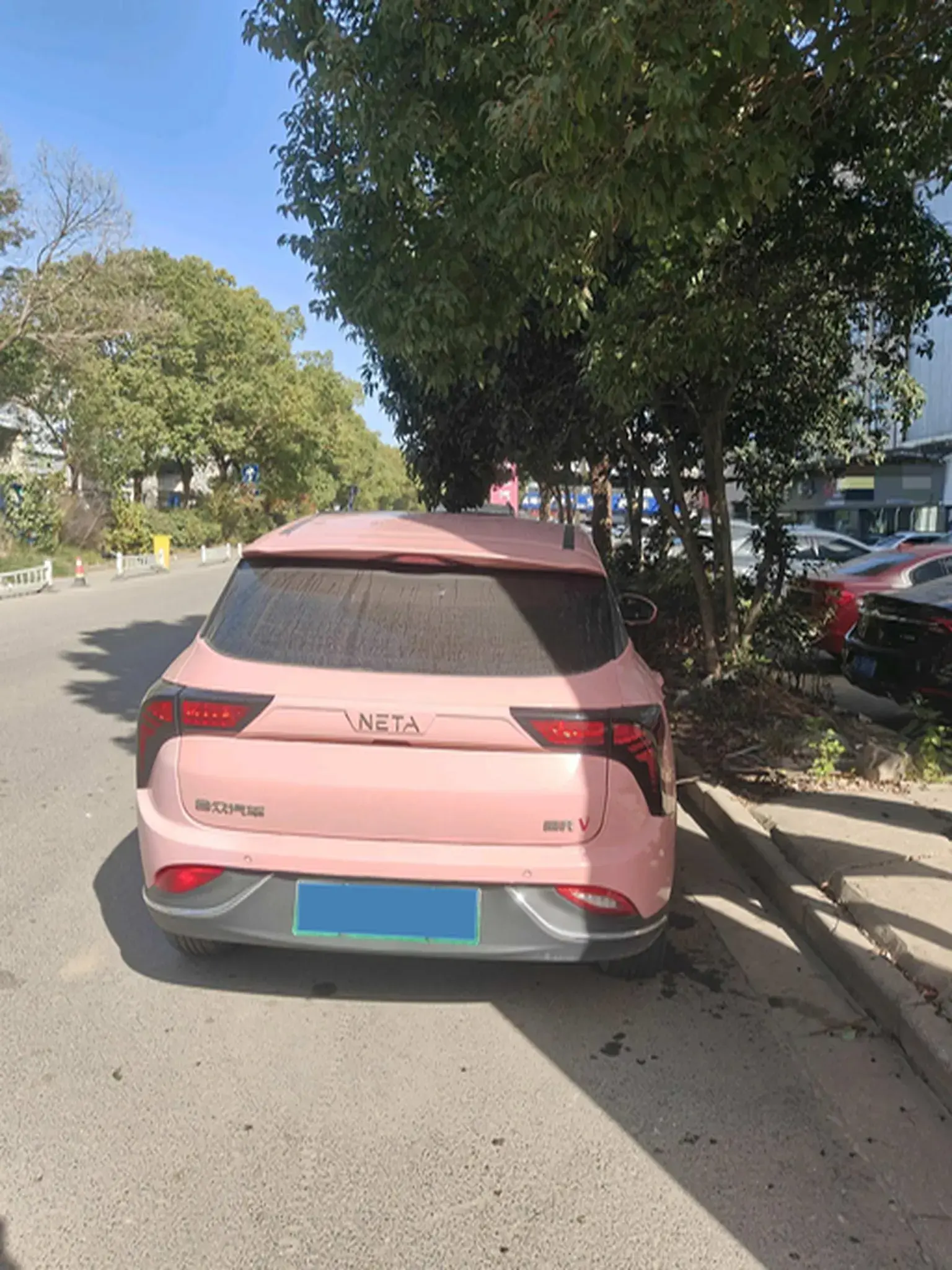 2022 NETA V thumbnail 3