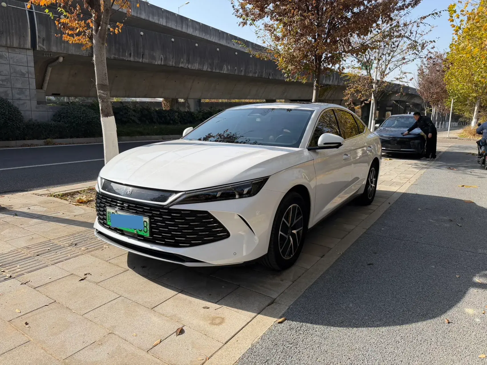 2024 BYD QINL view 1