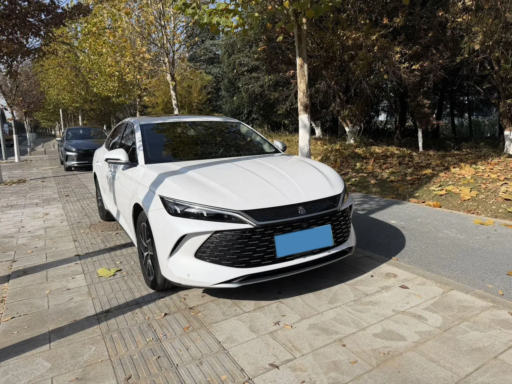 2024 BYD QINL thumbnail 2