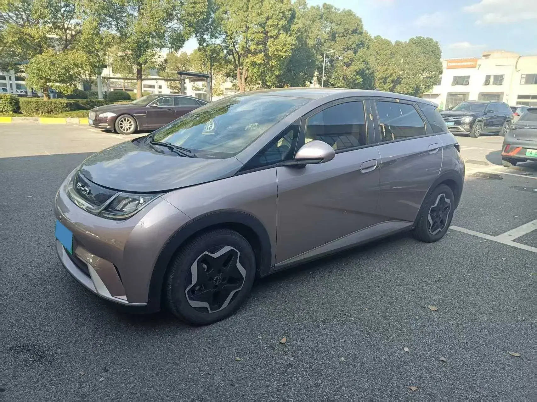 2021 BYD DOLPHIN view 1