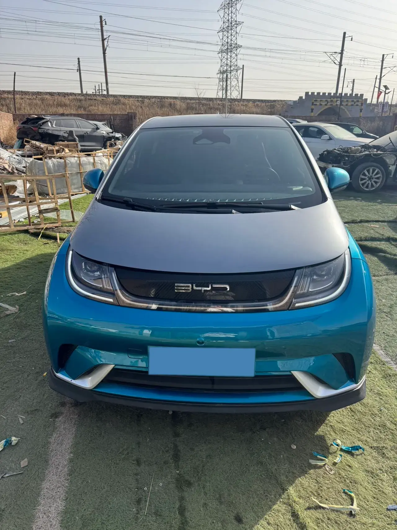 2021 BYD DOLPHIN thumbnail 2