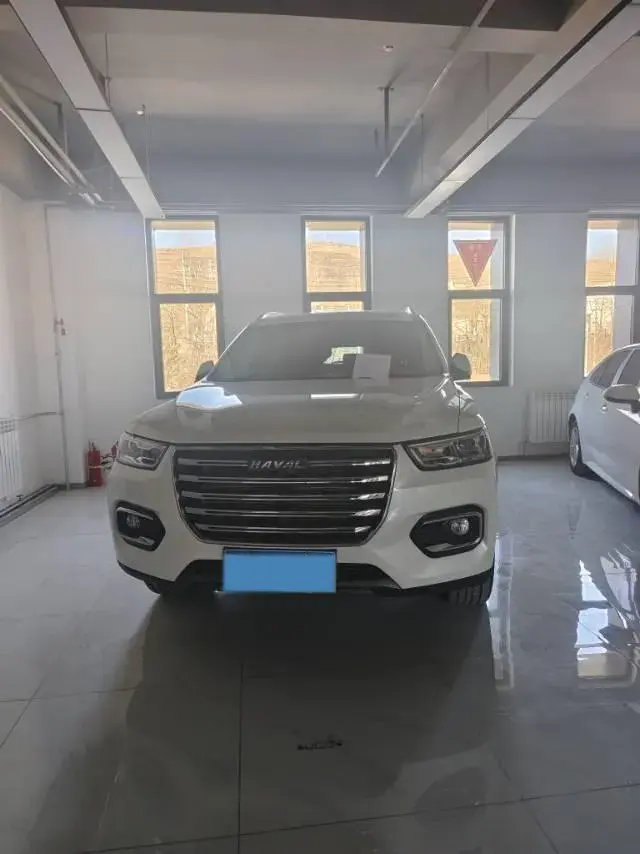 2020 HAVAL H6 thumbnail 2