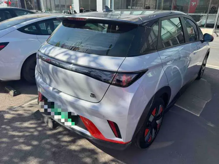 2021 BYD DOLPHIN thumbnail 2