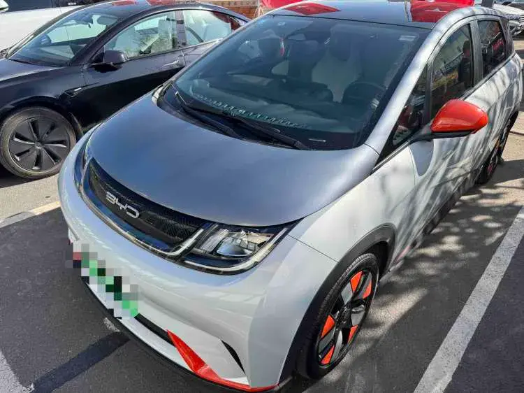 2021 BYD DOLPHIN view 1