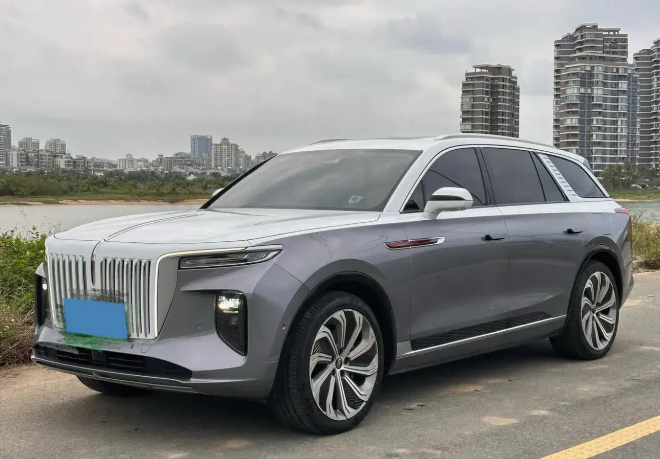 2021 HONGQI E-HS9 view 1