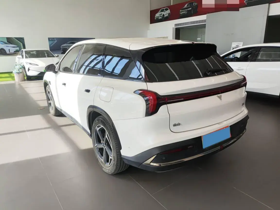 2024 NETA L thumbnail 4