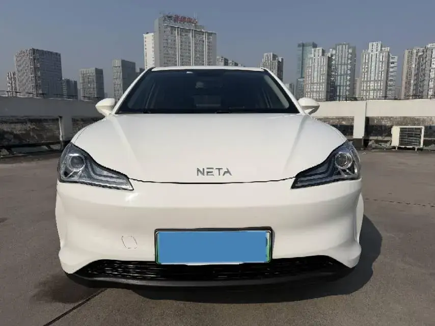 2021 NETA V thumbnail 4