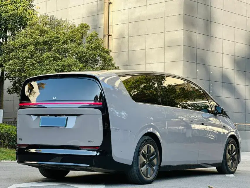 2024 LI MEGA thumbnail 4