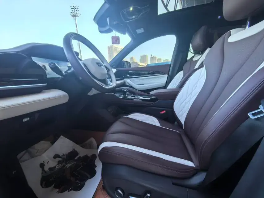 2021 GEELY MONJARO thumbnail 3