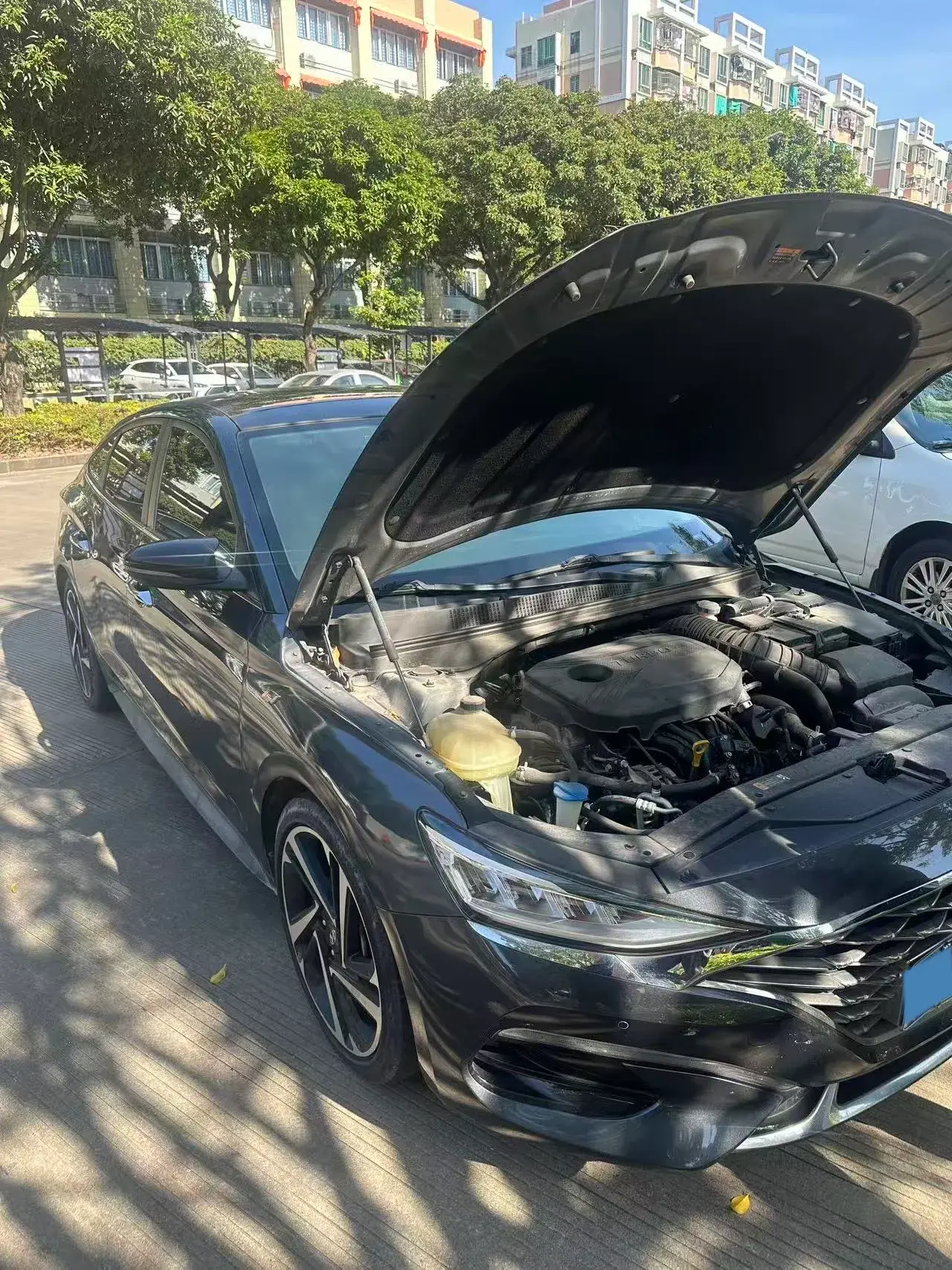 2019 HYUNDAI LA thumbnail 2