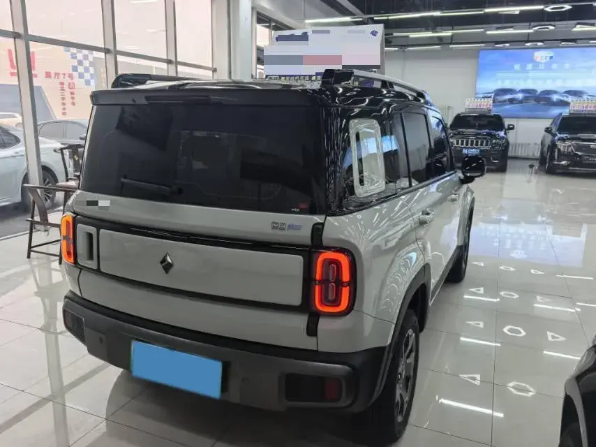 2023 BAOJUN YEPPLUS thumbnail 4