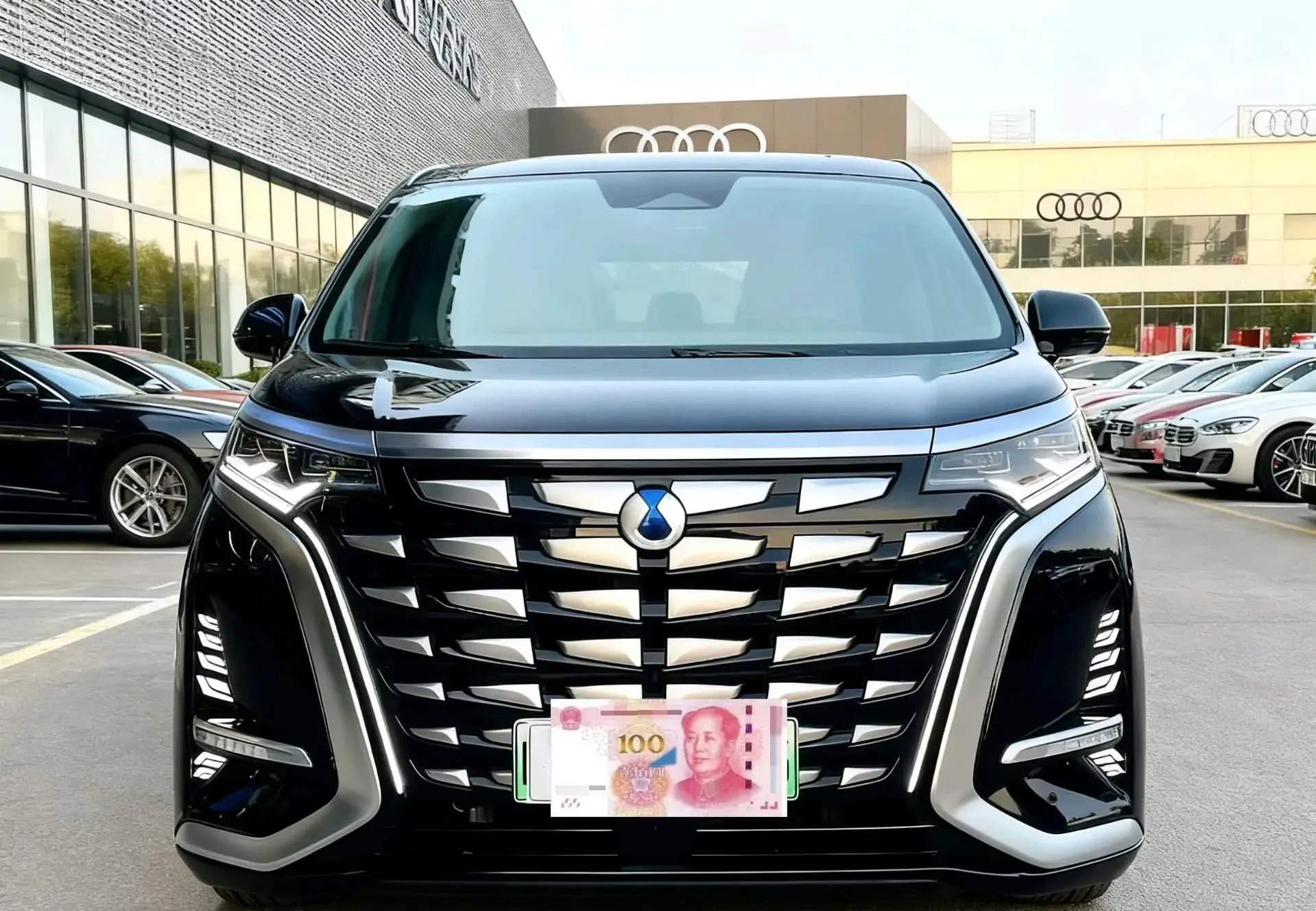 2022 DENZA D9 thumbnail 2