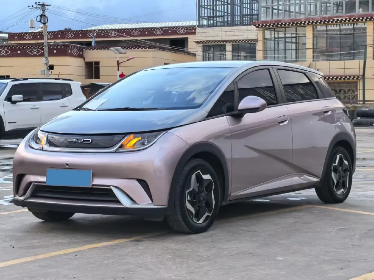 2021 BYD Dolphin BEV 44.9KWH,autocango,china used car exporter,china ev exporter,chinese used car exporter,chinese used ev exporter