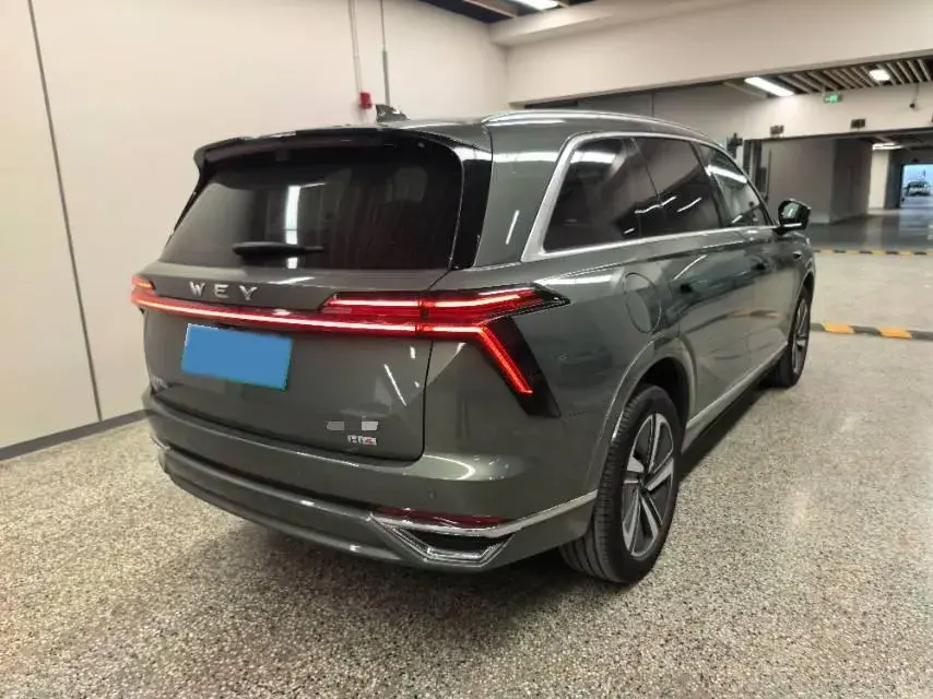 2025 WEY BLUEMOUNTAIN thumbnail 2