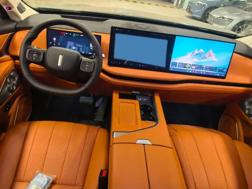 2025 WEY BLUEMOUNTAIN thumbnail 3