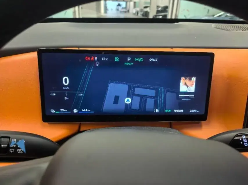 2025 WEY BLUEMOUNTAIN thumbnail 4