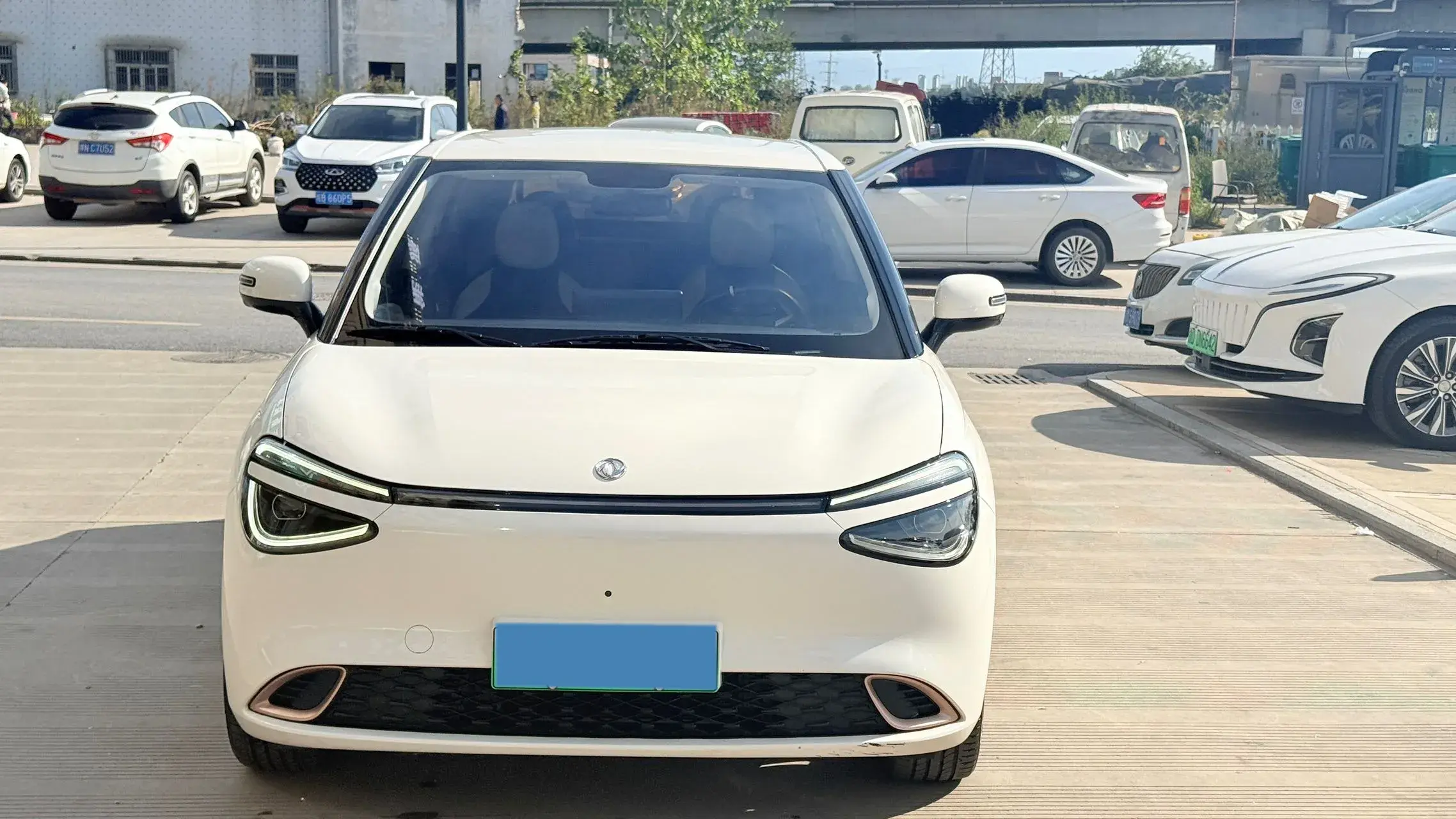 2024 DONGFENG NAMMI thumbnail 2