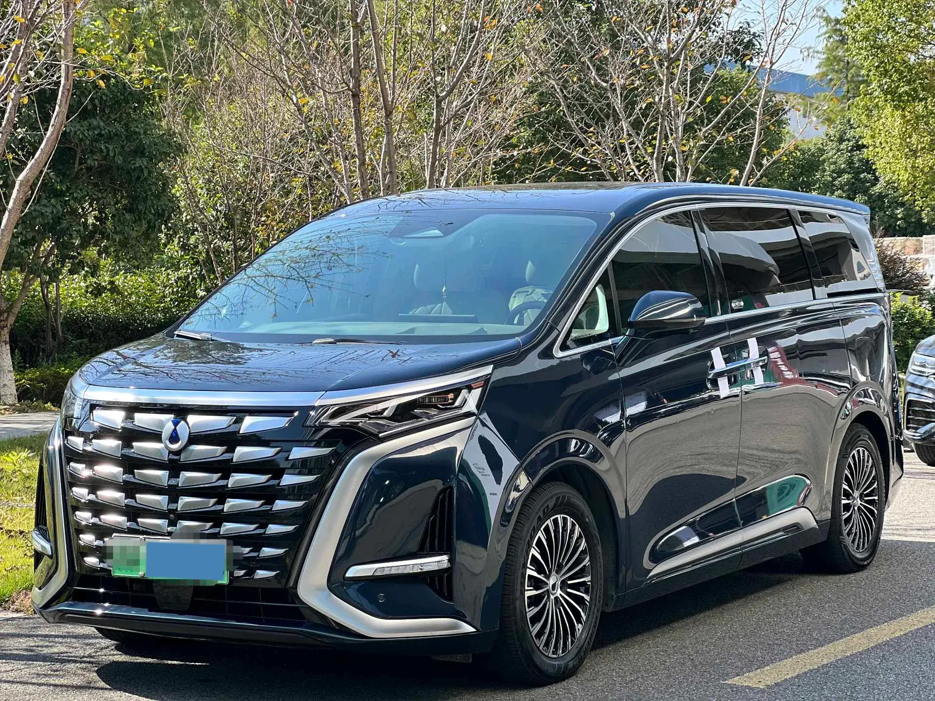 2022 DENZA D9 view 1